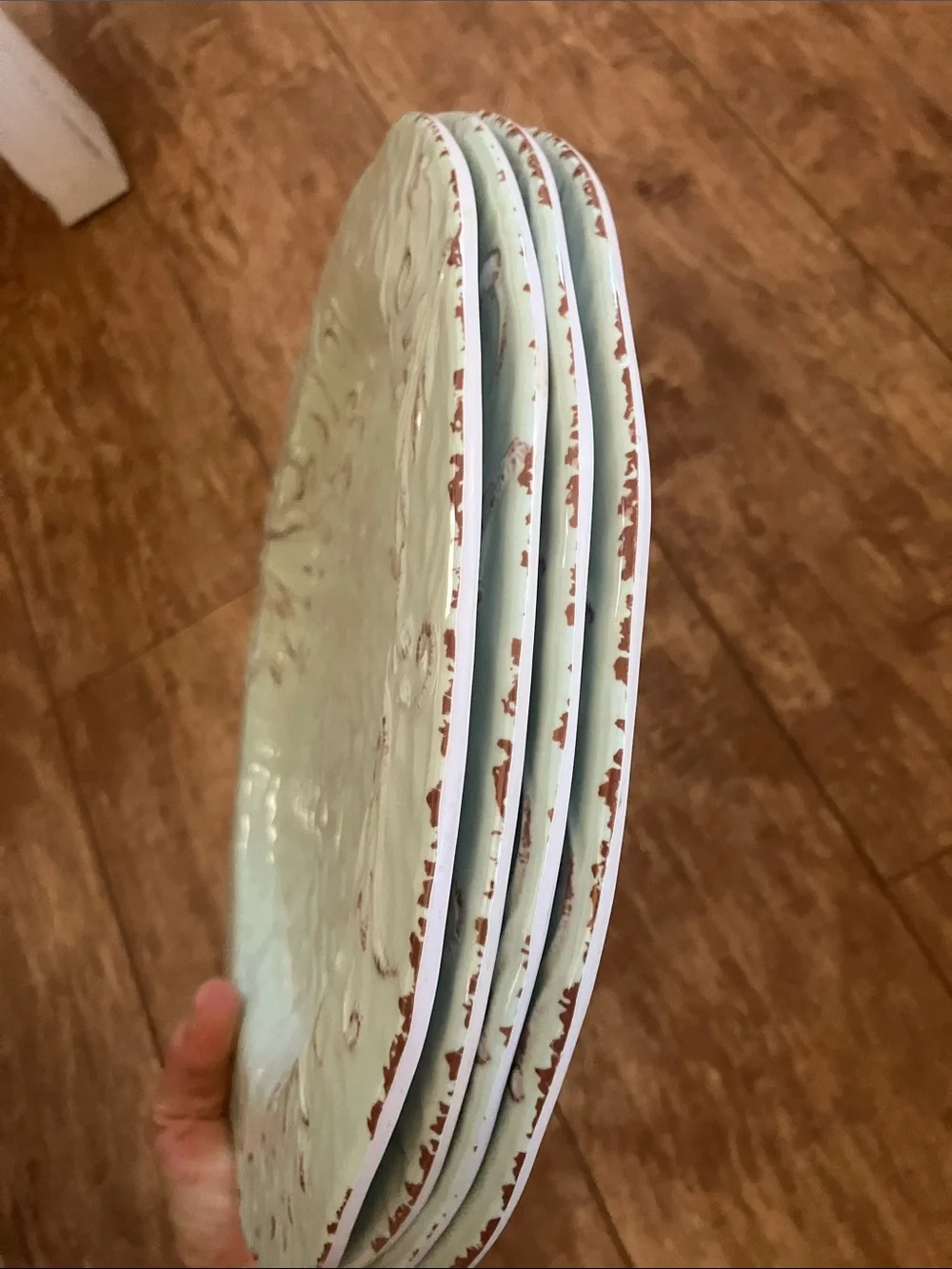 4 Farmhouse Mint Plastic Dinner Plates with Leaves Brown Scroll Accents